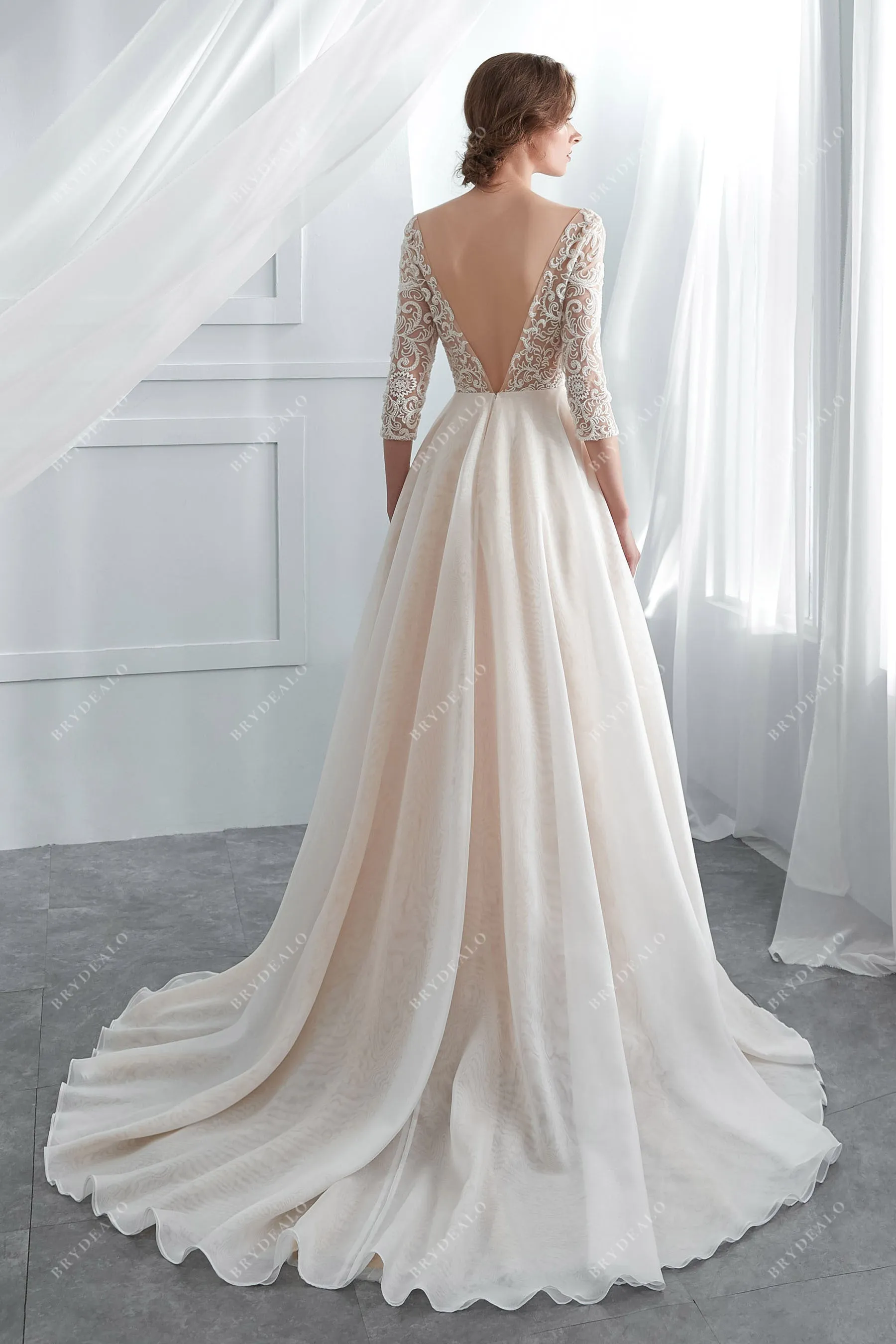 Champagne Illusion 3/4 Sleeve Lace Fall Wedding Dress