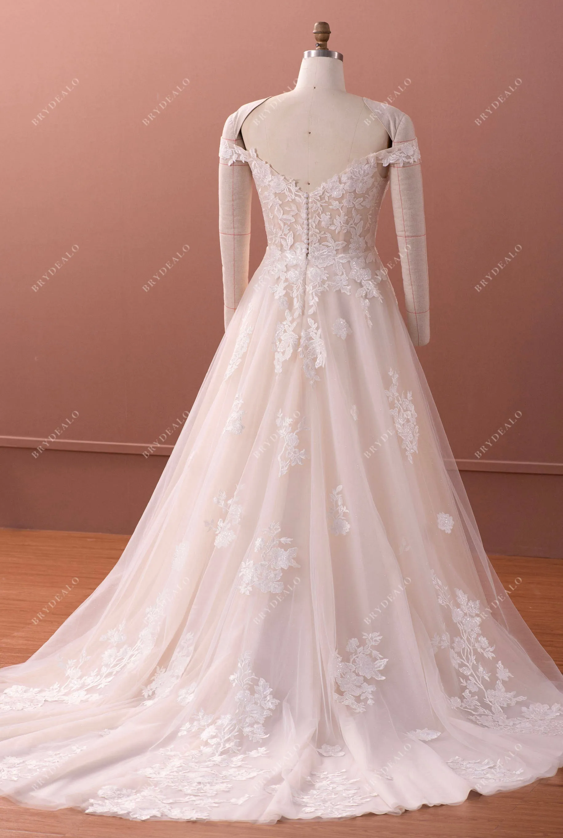 Designer Lace Light Champagne Puffy A-line Destination Wedding Dress