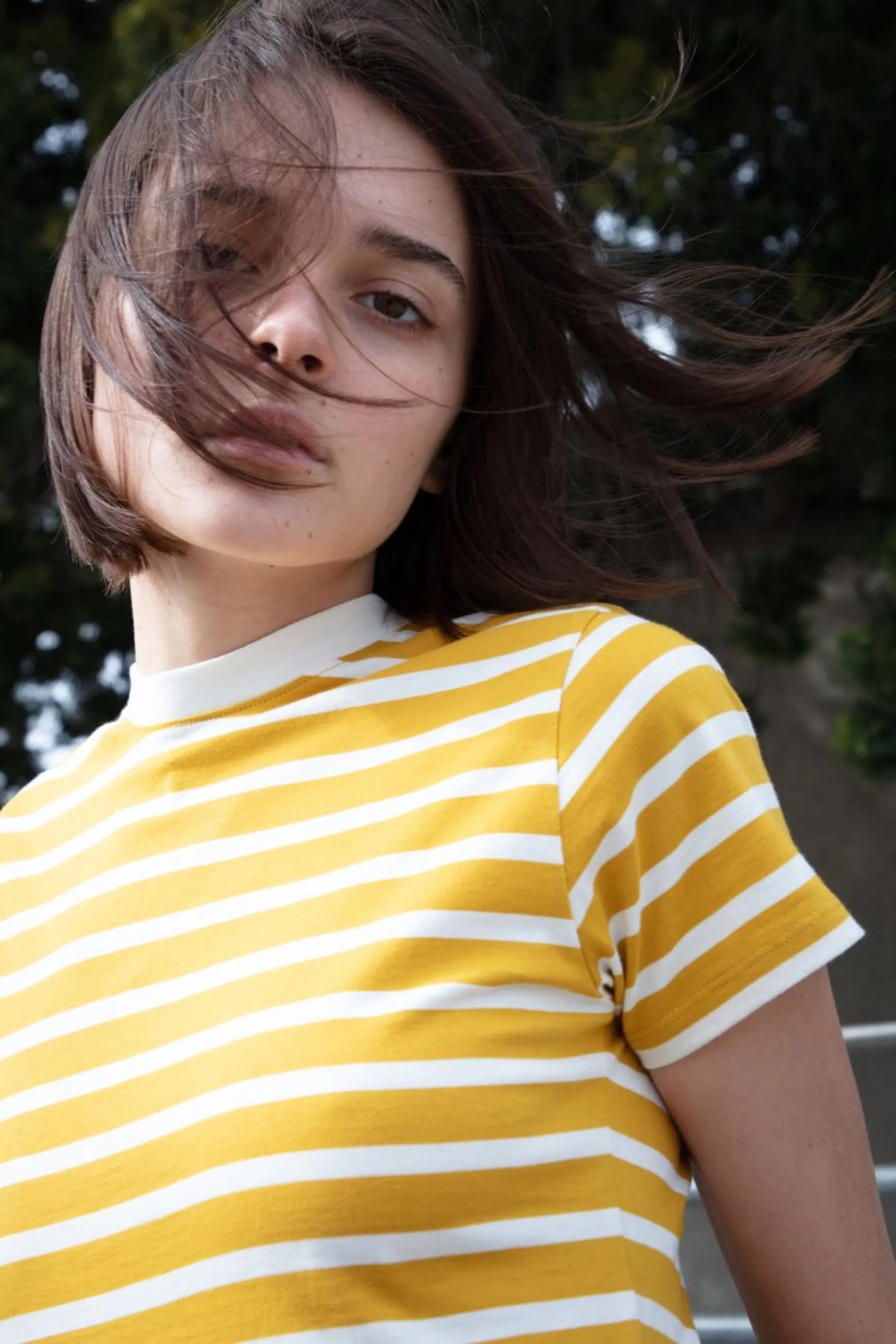 Mustard Stripe Crew Tee